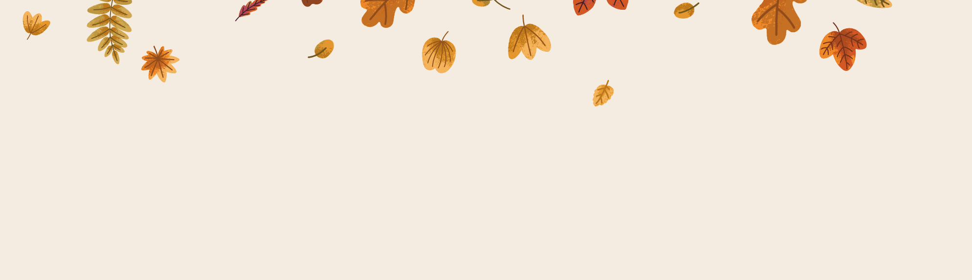Header Slide 3