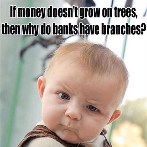 Money Memes That Make You Smile - Blog